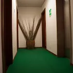 加里波第酒店 马达莱纳